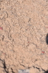 230720A-092802-01392