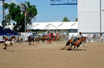 3HRodeo8-11-25_PRCASteer_06735_