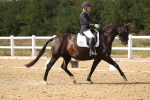 SBM_011058