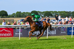 230626-Race 5-Percys Daydream-1494