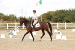 SBM_009931