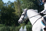 240811A-163756-06361