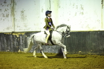 SBM_009334