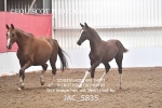 JAC_5835