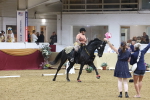 SBM_09934