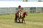 SBM_05344