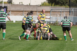 St Jacques v Tottonians-12