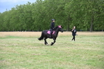 WJ6_3158