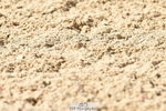 230701A-163410-07176