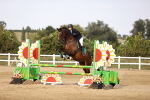SBM_03539
