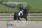 BPP_5975