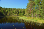 Nuuksio National Park, Uusimaa, Finland