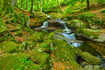 Waterfall at Sally Gap