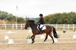 SBM_003629