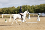 SBM_009101
