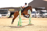 Class 3 - Senior British Novice - 90cm portfolio