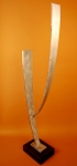 Saguaro in studio