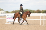 SBM_15954