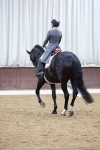 SBM_009525