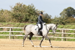 SBM_002294