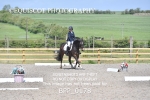 SHORT ARENA  MY QUEST PRELIM portfolio