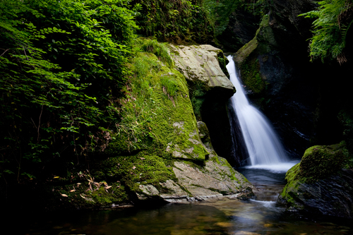 The waterfall at Glen Maye. Wonderful green colours from the moss and ferns.