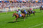 270626-Race 4-Qirat-0277