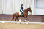 SBM_001449