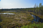 Vartius to Suomussalmi, Kainuu, Finland