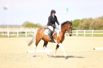 SBM_007889