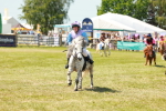 SBM_17319