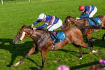 240824-Race 7-Sir Busker-2003