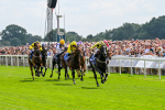 260725-Race 3-Royal Champion-0434