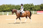 SBM_008579
