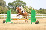 SBM_004385