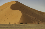 Namibian Dune