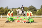 SBM_03867