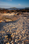Shell Beach, Kippford (06060705)