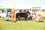 SBM_08338