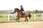 SBM_007803