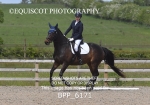 BPP_6171