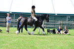 SBM_07878