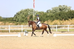 SBM_009384