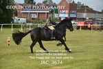 75CM WORKING HUNTER portfolio