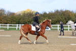 SBM_000971