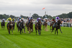 220824-Race 2-Diligently-6813