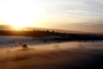 Eden Morning