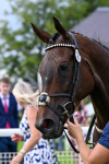 280625-Race 7-Titian-0682