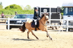 SBM_007584