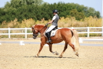 SBM_009787